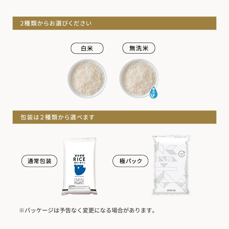森のくまさん 米 お米 5kg 熊本県産 令和7年産 精米5kg : こめたつ