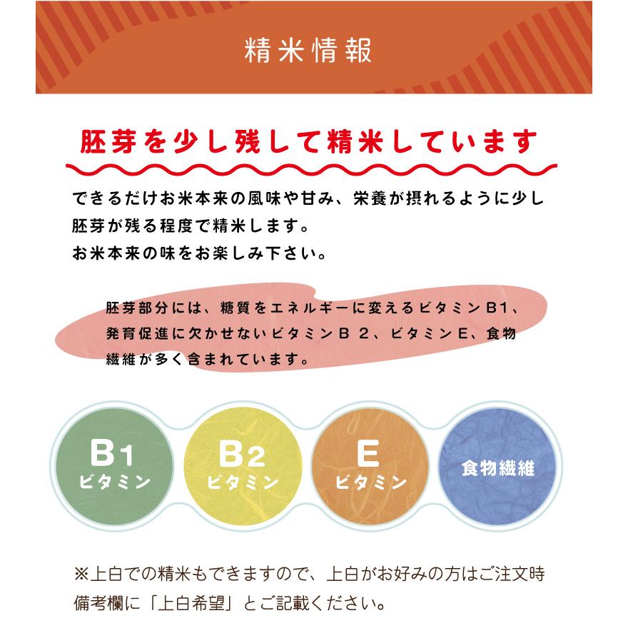 SALE／83%OFF】 令和４年産 い～ね ミルキークイーン30kg 精米後27kg
