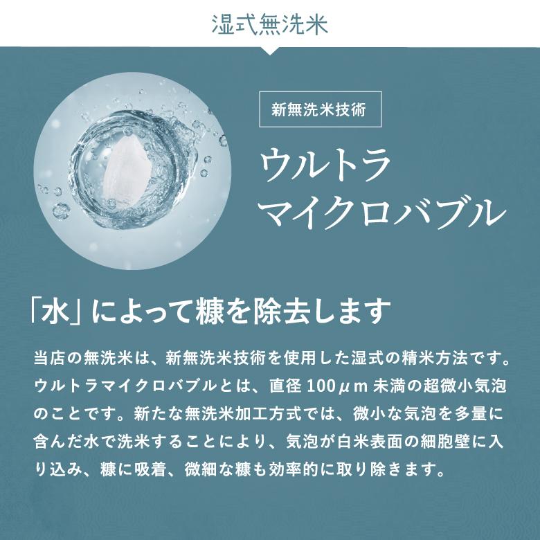 ヒヨクモチ 【暮らし応援価格】米 もち米 精米10kg 熊本県産 令和7年産