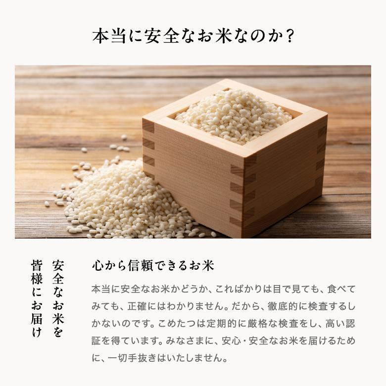 ヒヨクモチ 【暮らし応援価格】米 もち米 精米5kg 熊本県産 令和7年産