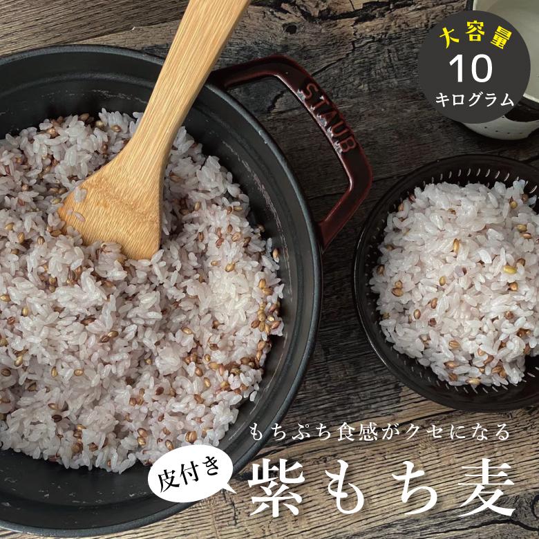 もち麦 皮付き10kg ダイシモチ 紫もち麦 国内産 雑穀 雑穀米 もち麦 皮付き10kg ダイシモチ 紫もち麦 国内産 雑穀 雑穀米