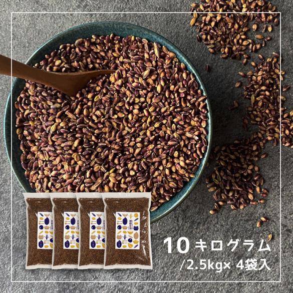 もち麦 皮付き10kg ダイシモチ 紫もち麦 国内産 雑穀 雑穀米 もち麦 皮付き10kg ダイシモチ 紫もち麦 国内産 雑穀 雑穀米