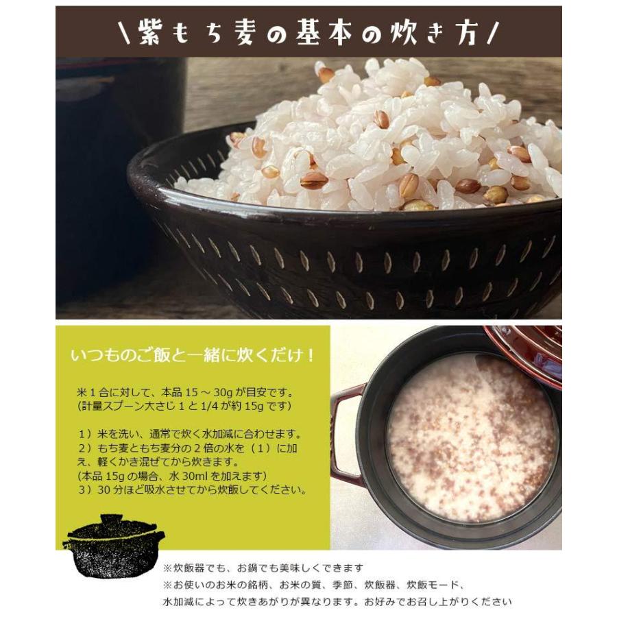 もち麦 皮付き10kg ダイシモチ 紫もち麦 国内産 雑穀 雑穀米 もち麦 皮付き10kg ダイシモチ 紫もち麦 国内産 雑穀 雑穀米