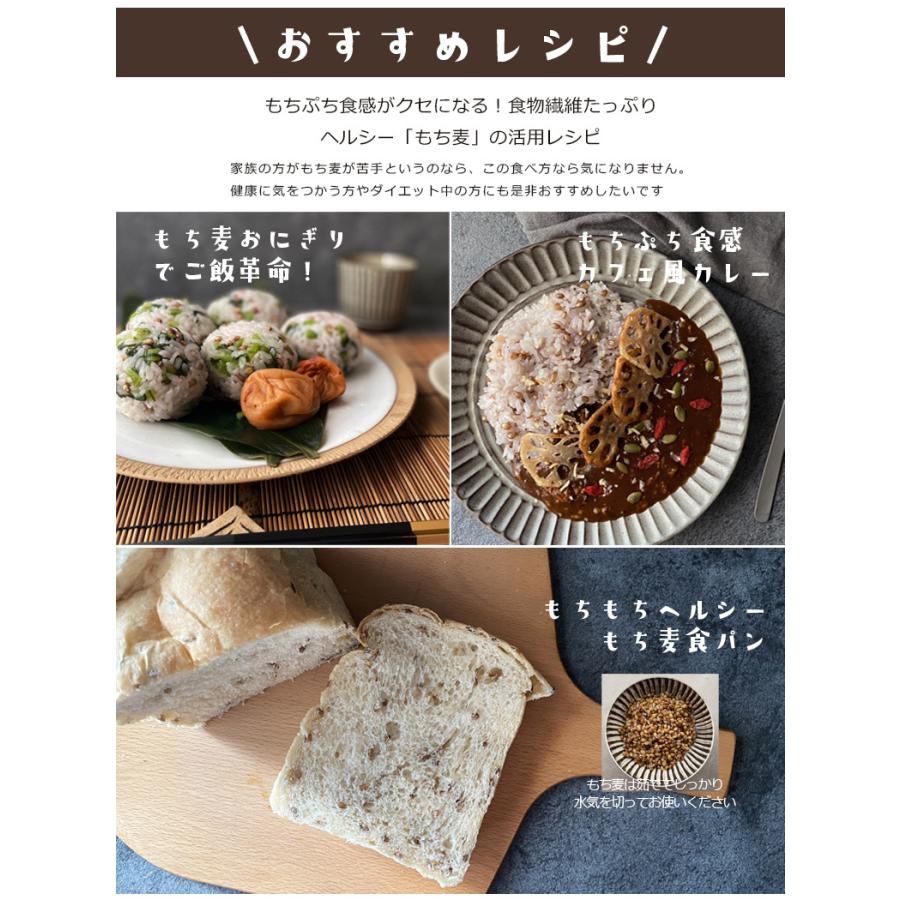 もち麦 皮付き10kg ダイシモチ 紫もち麦 国内産 雑穀 雑穀米 もち麦 皮付き10kg ダイシモチ 紫もち麦 国内産 雑穀 雑穀米