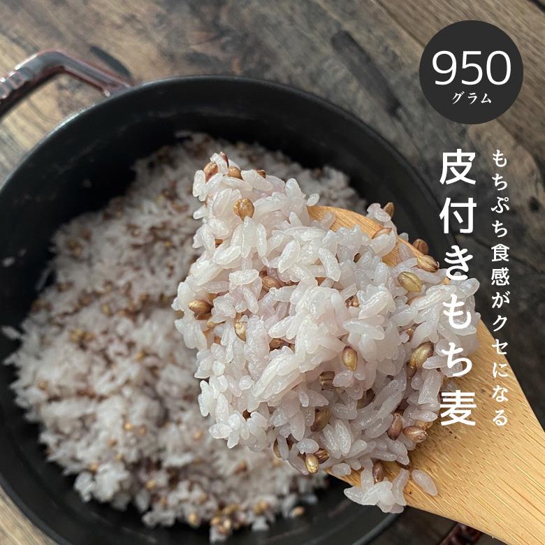 もち麦 皮付き950g ダイシモチ 紫もち麦 国内産 雑穀 雑穀米 もち麦 皮付き950g ダイシモチ 紫もち麦 国内産 雑穀 雑穀米