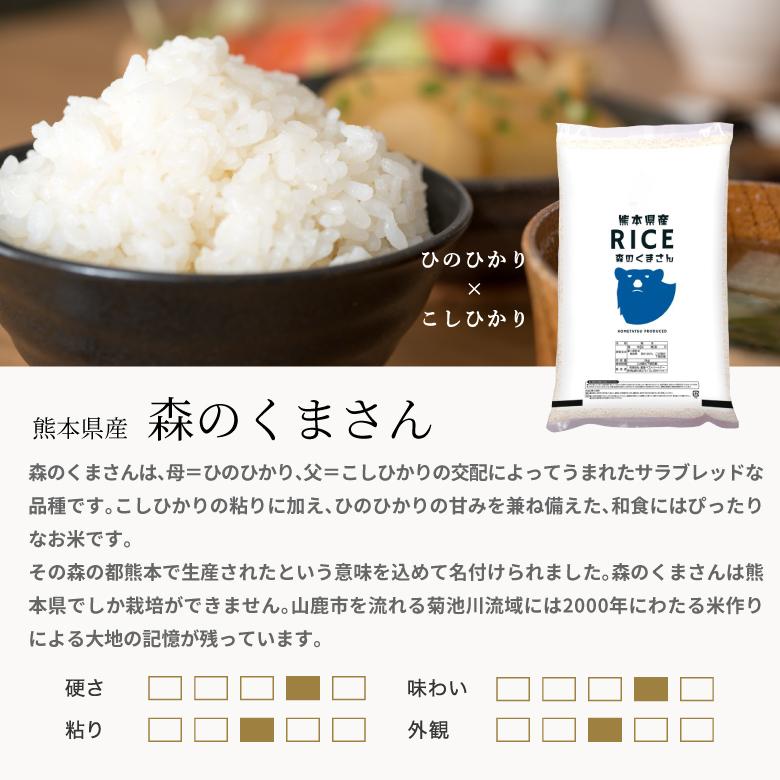 熊本県産 玄米 10kg森のくまさん！！ 森のくまさん 【在庫処分SALE】米 お米 10kg 熊本県産 令和7年産 玄米