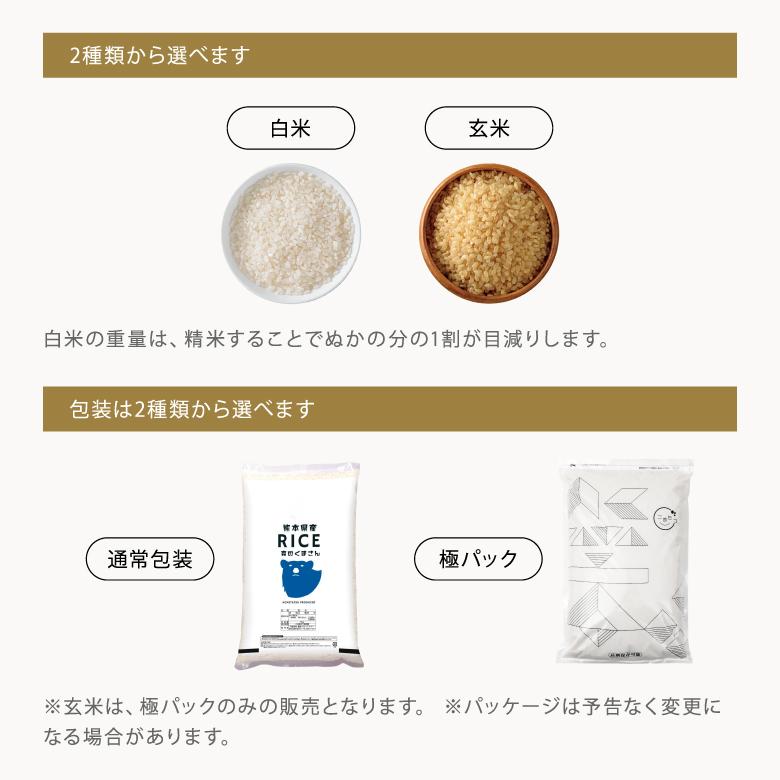 森のくまさん 米 お米 10kg 熊本県産 令和6年産 玄米10kg 精米 森のくまさん 米 お米 10kg 熊本県産 令和6年産 玄米10kg 精米