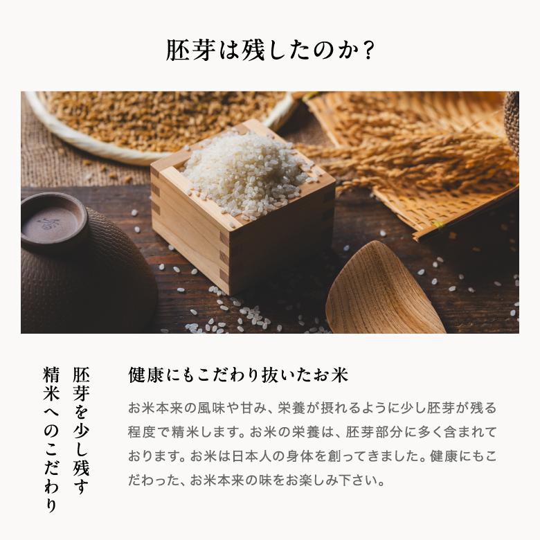 令和6年産　米 10kg 　森のくまさん 森のくまさん 10kg 令和6年産 熊本県産 九州 熊本県産 特A 精米 | お米