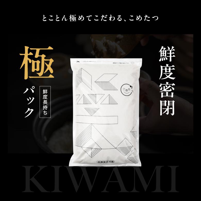特別栽培米 熊本県産 森のくまさん10kg(5kg×２袋) 森のくまさん 米 お米 10kg 熊本県産 特別栽培米 令和6年産 5kg×2袋