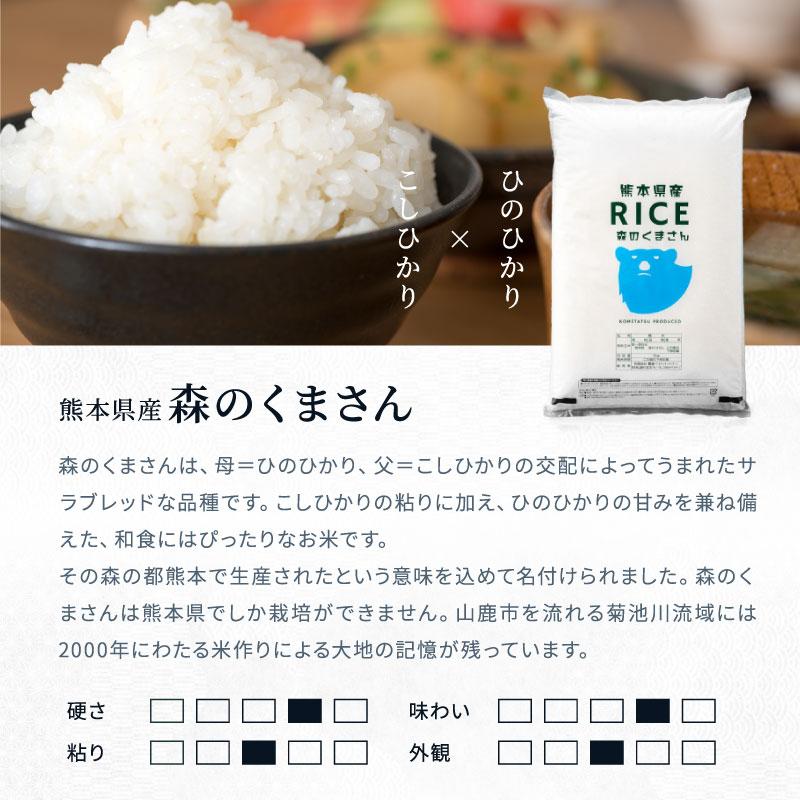 森のくまさん 新米 米 お米 10kg 無洗米 熊本県産 令和7年産 5kg×2袋