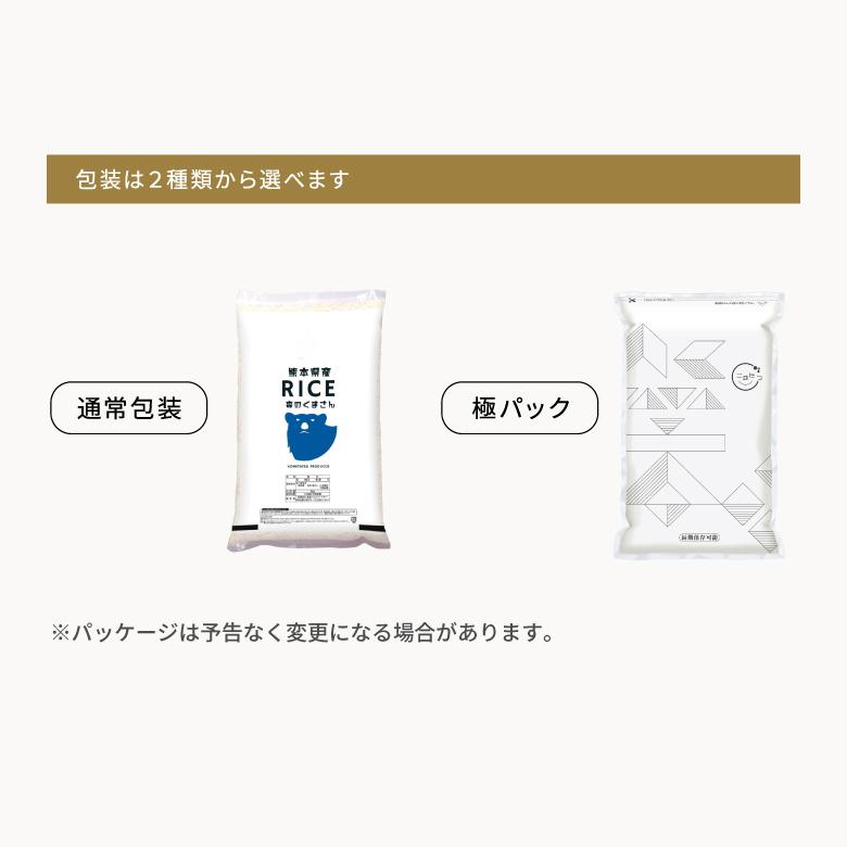 森のくまさん 新米 予約 米 お米 5kg 無洗米 熊本県産 令和7年産