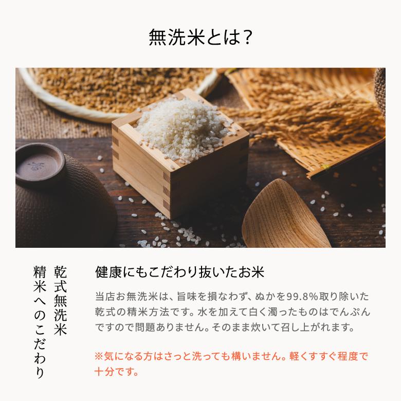 米 お米 27kg くまさんの結び 無洗米 熊本県産 令和6年産 30kg 米 お米 27kg くまさんの結び 無洗米 熊本県産 令和6年産 30kg