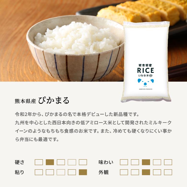 在庫処分SALE】米 お米 10kg 送料無料 ぴかまる 熊本県産 令和7年産 