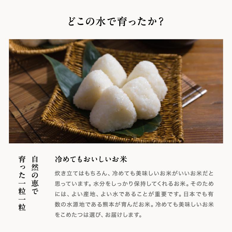 つや姫 米 お米 10kg 大分県産 令和7年産 5kg×2袋 : こめたつ - 通販