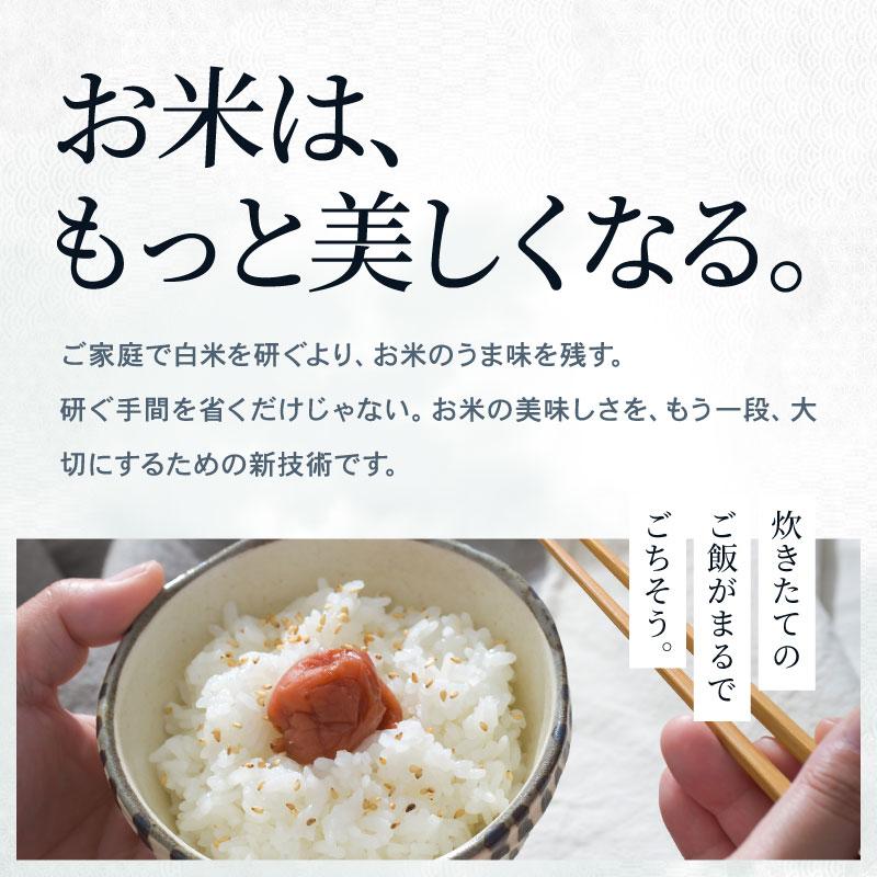 つや姫 米 お米 10kg 無洗米 大分県産 令和7年産 5kg×2袋 : こめたつ