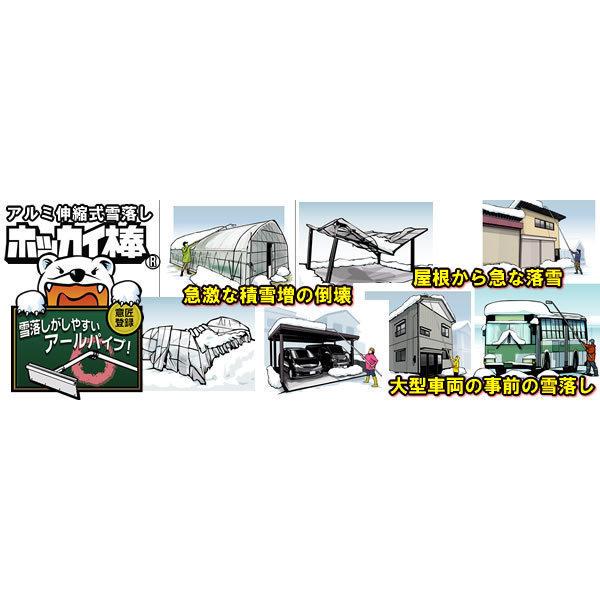 ホッカイ棒用 ギザギザ 雪切り So 10gh つらら落とし スペア セキカワ 雪落とし 除雪 雪庇落とし ヘッド 雪下ろし カーポート