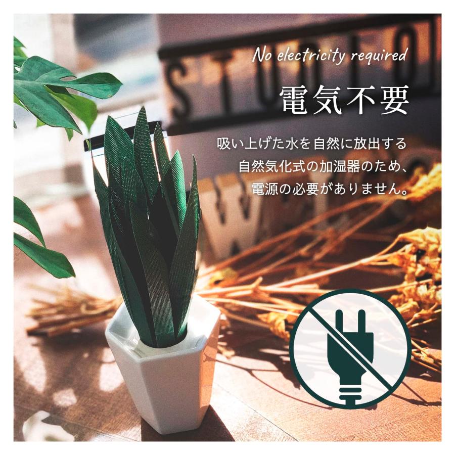 おくだけエコ加湿 ミクニ 加湿器 ミスティプランツ サンスベリア
