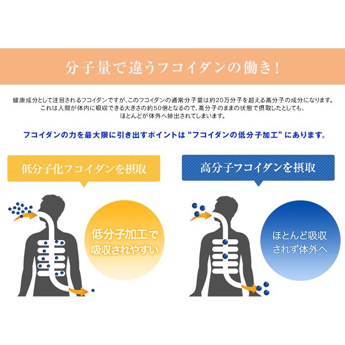 公式 パワーフコイダン 1,800ml 無糖 液体タイプ 低分子化フコイダン