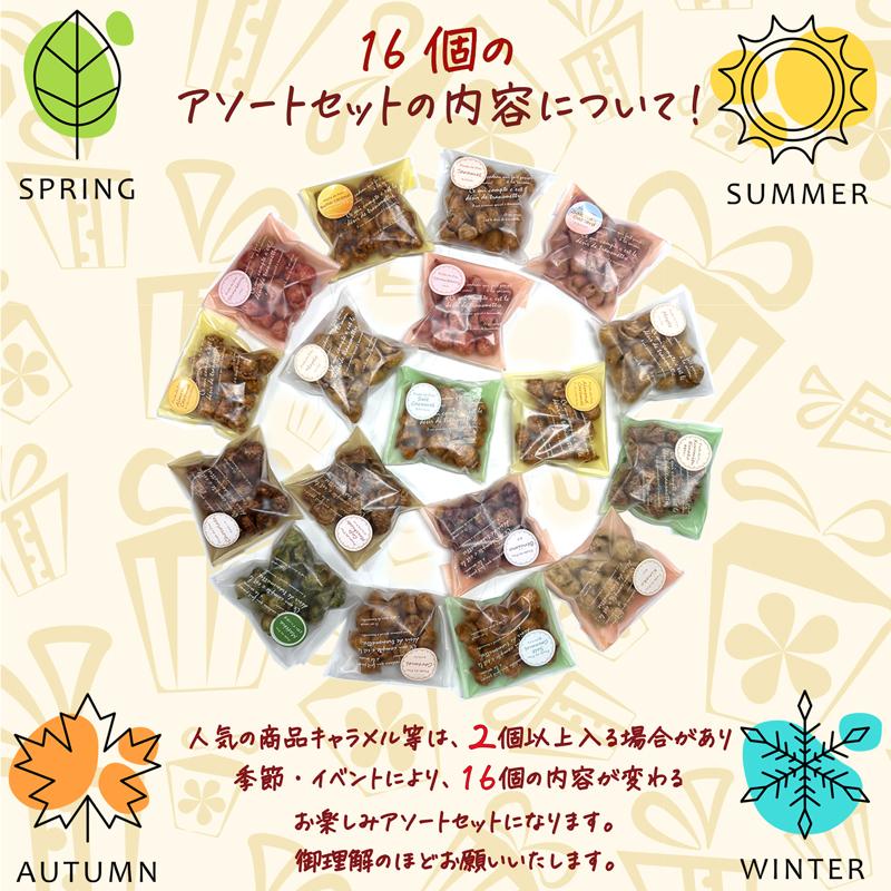 パスタでポン【ミニアソートギフト】　16個入｜奈良県のお土産 パスタスナック 小袋になって色んな味が楽しめるギフトセット |  | 06