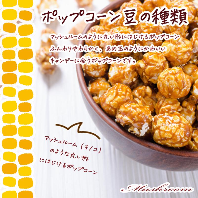 フレーバーポップコーン【フルーツフレーバー】マッシュルーム型★1袋150g |  | 01