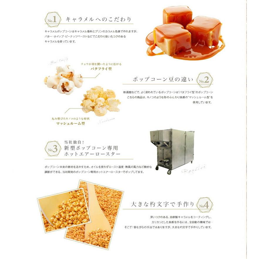 【送料無料】6種類のフレーバー ポップコーンからお客様のお好みで ４種類選んで送料無料セット(マッシュルーム型ポップコーン） |  | 02