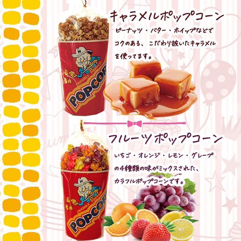 ポップコーンセット  あなたの気になる4種類選んで下さい　６種類の中から選べます。送料無料バタフライ型　キャラメル・メープル・フルーツミックス等　 |  | 02