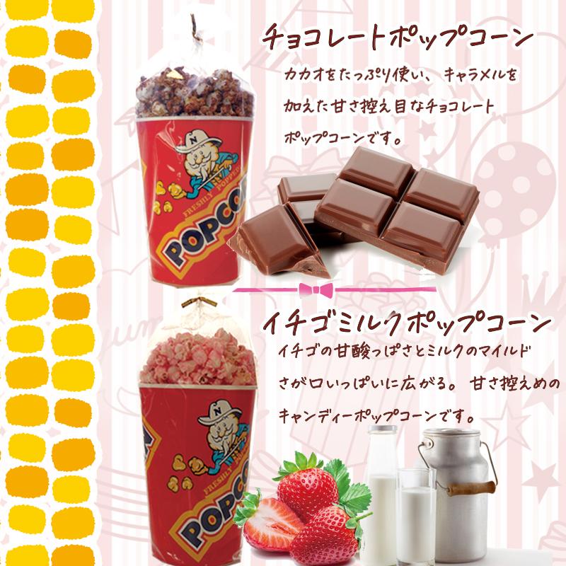 ポップコーンセット  あなたの気になる4種類選んで下さい　６種類の中から選べます。送料無料バタフライ型　キャラメル・メープル・フルーツミックス等　 |  | 03