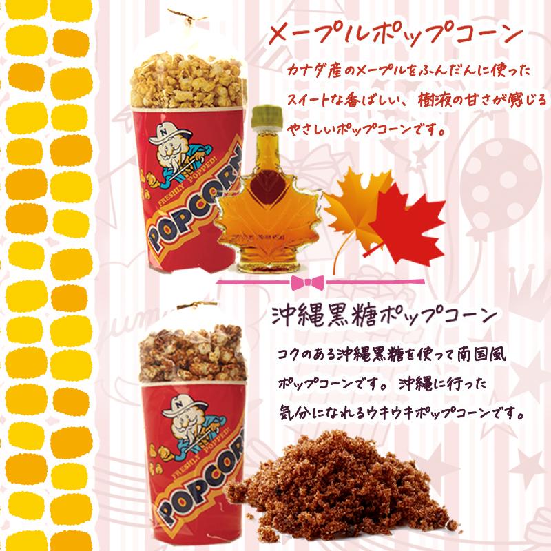 ポップコーンセット  あなたの気になる4種類選んで下さい　６種類の中から選べます。送料無料バタフライ型　キャラメル・メープル・フルーツミックス等　 |  | 04