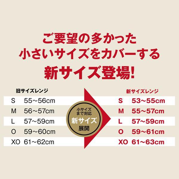 MIZUNO（ミズノ） 【MIZUNO】ミズノ 硬式用ヘルメット（両耳付
