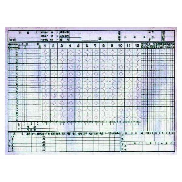 MIZUNO（ミズノ） 【MIZUNO】ミズノ スコアブック （豪華版）A4