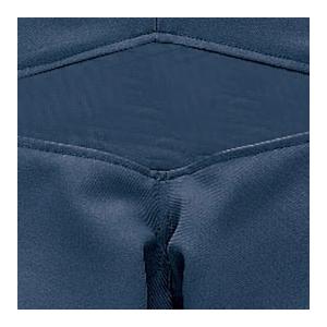 MIZUNO（ミズノ） 【MIZUNO】ミズノ ソフトボール審判員用