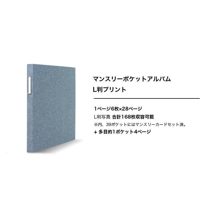 ナカバヤシ 【WEB限定品】L判 アルバム 大容量 6面ポケット マンスリー