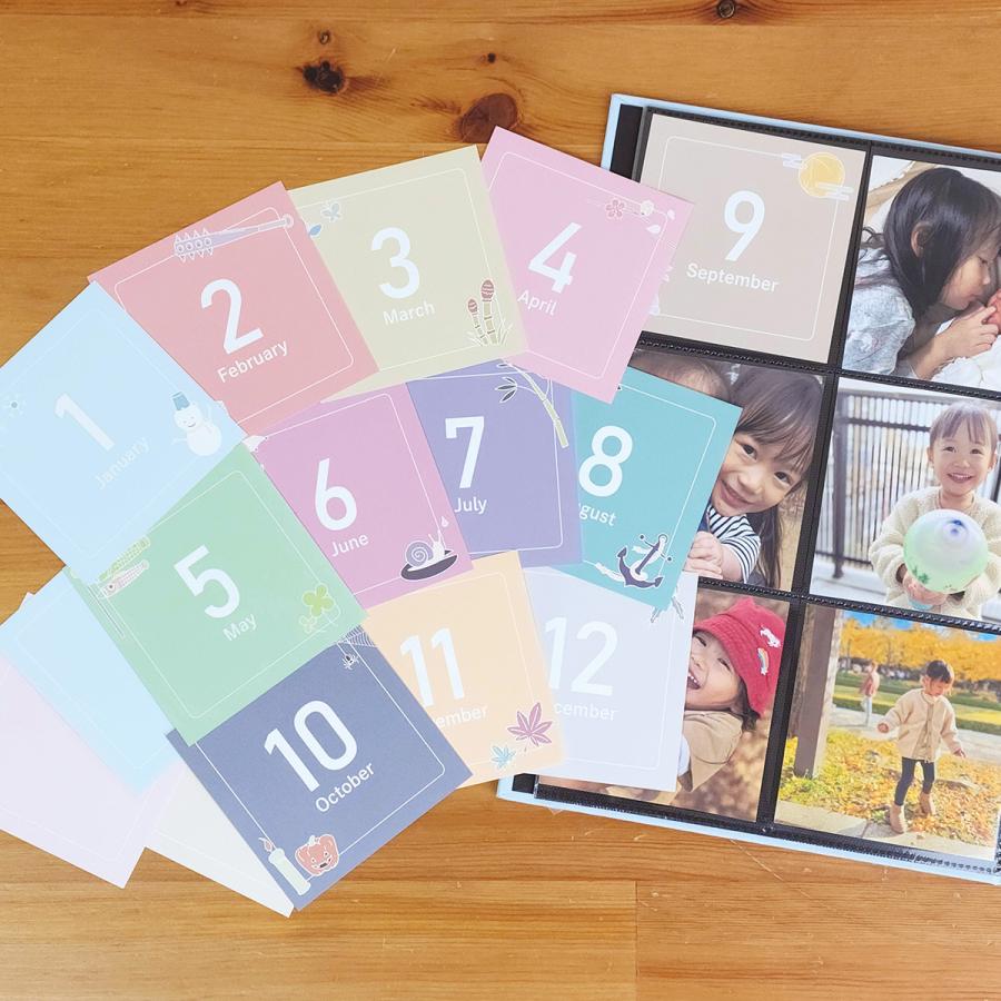 WEB限定品】アルバム マンスリー デザイン ポケットカード ましかく判