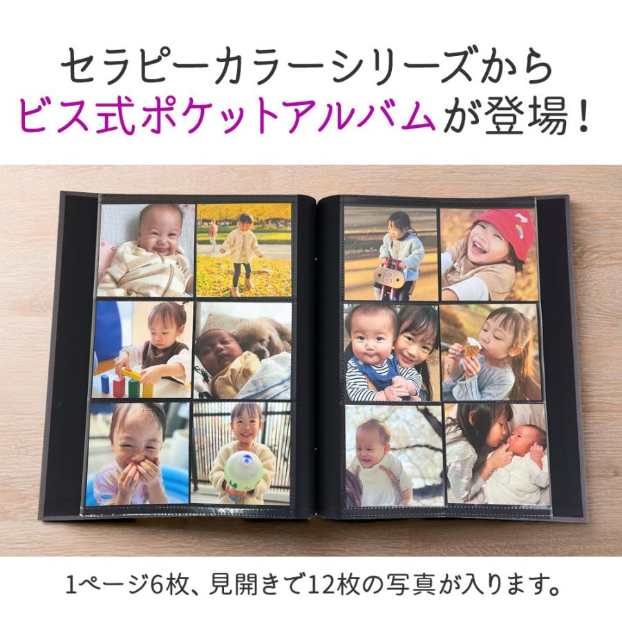 ナカバヤシ 【WEB限定品】ナカバヤシ セラピーカラー ビス式 ナカバヤシ 【WEB限定品】ナカバヤシ セラピーカラー ビス式