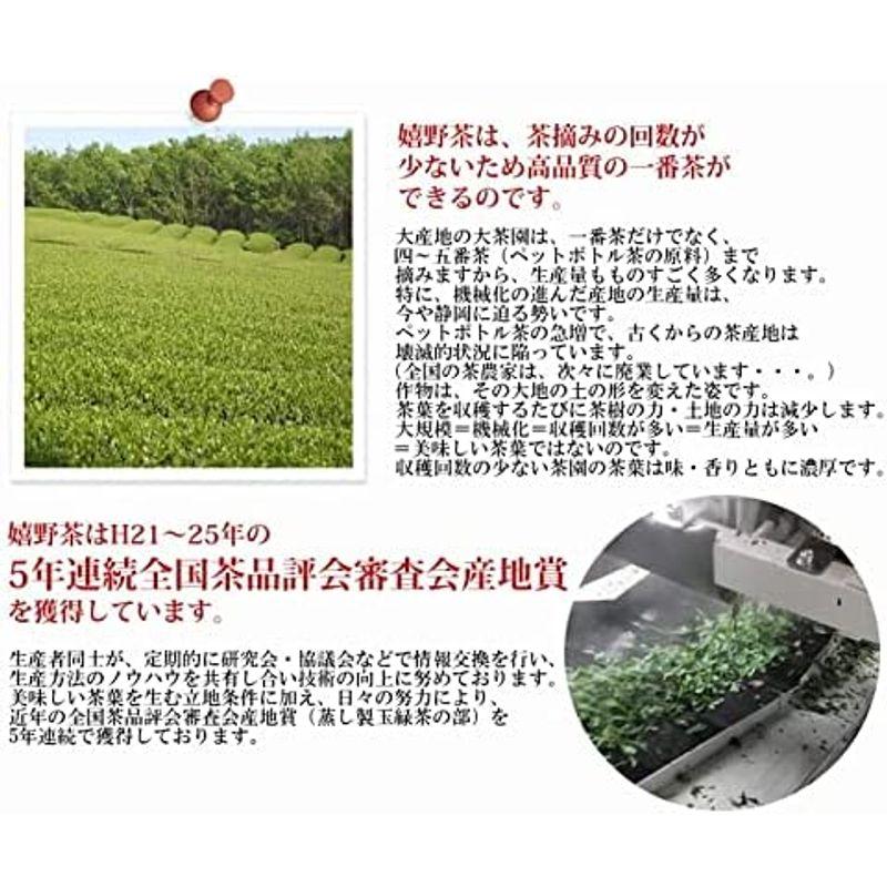 2023新茶 嬉野茶 ゆたかみどり (100g×5) 食品 ドリンク、水、お酒 緑茶、日本茶