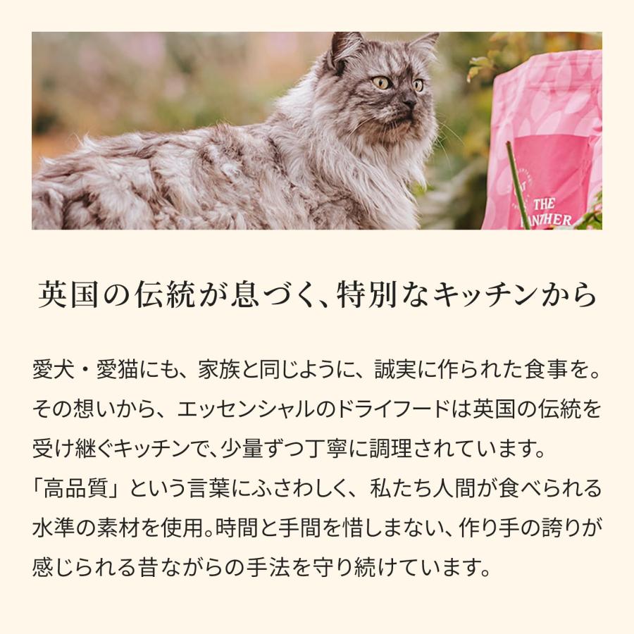 ジャガー キャットフード パウチ 85g×12個 全猫種 成猫〜 グレインフリー （香料・着色料不使用） チキン・チキンレバー・サーモン ウェットの画像