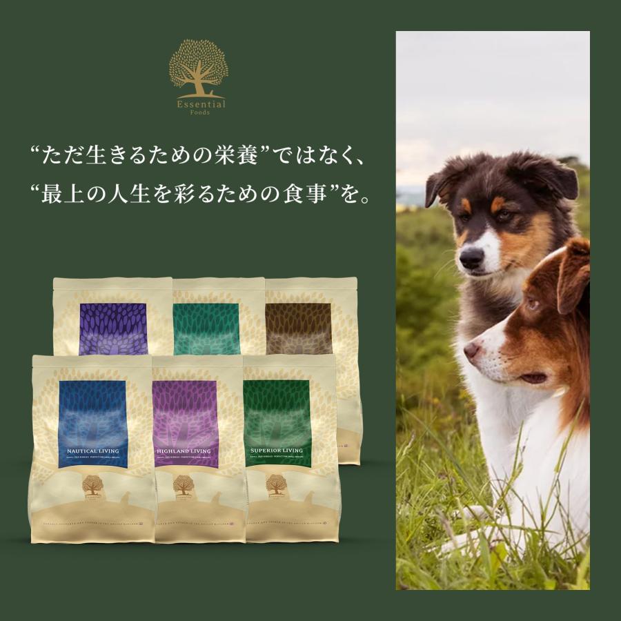 エッセンシャル ドッグフード スーペリアリビング 2.5kg 全犬種 成犬〜 グレインフリー ヒューマングレード （香料・着色料不使用） チキン ダの画像