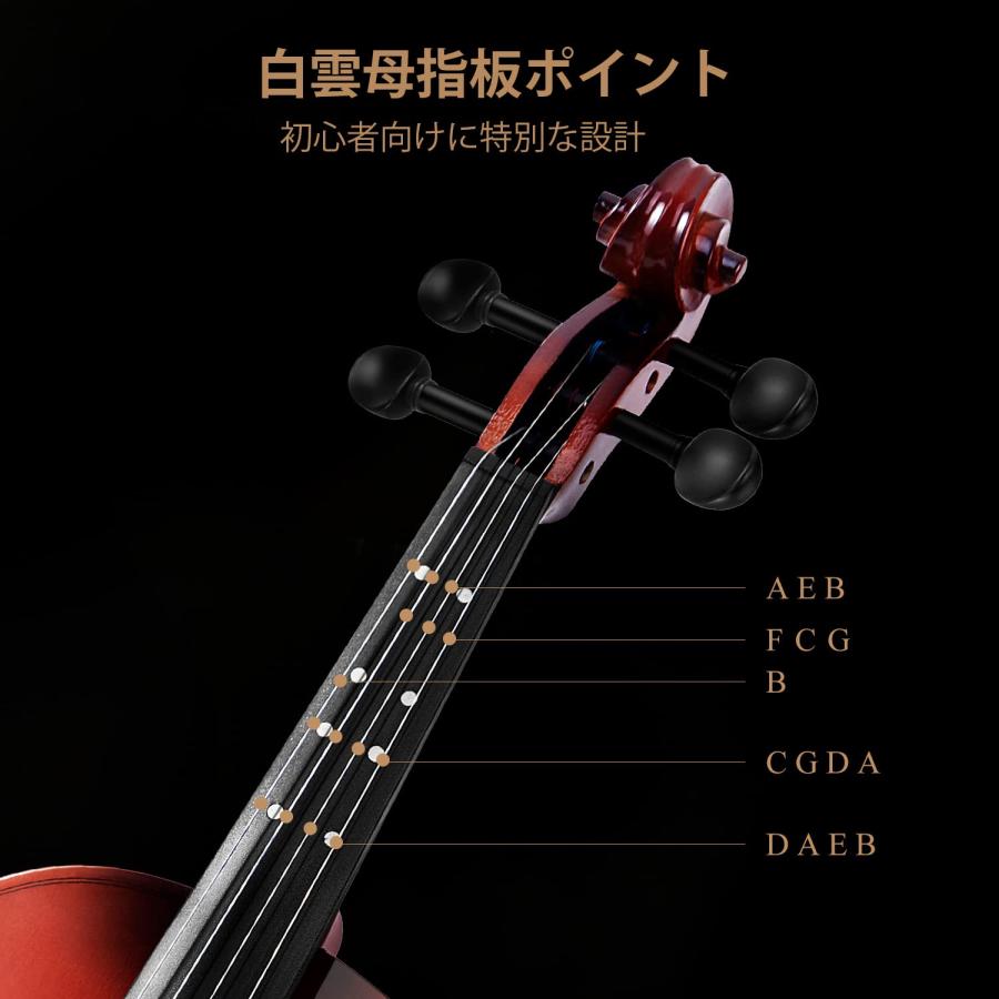 Eastar バイオリン 初心者 指板マーク スプルース材 初心者セット Eastar バイオリン 初心者 指板マーク スプルース材 初心者セット EVA