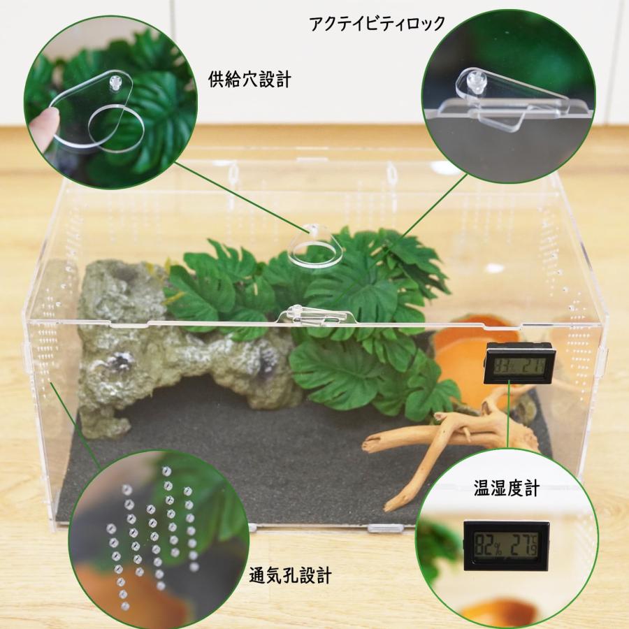 Niesporek 爬虫類 ケージ トカゲ カナヘビ飼育ケース レプタイル