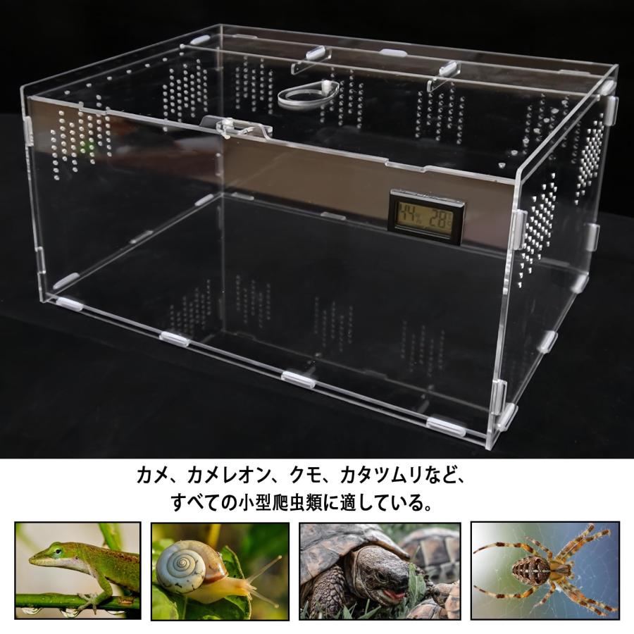 Niesporek 爬虫類 ケージ トカゲ カナヘビ飼育ケース レプタイル