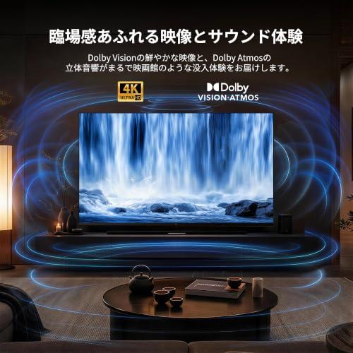 FPD チューナーレステレビ 43型 4K Google TV ネット動画対応 スマート