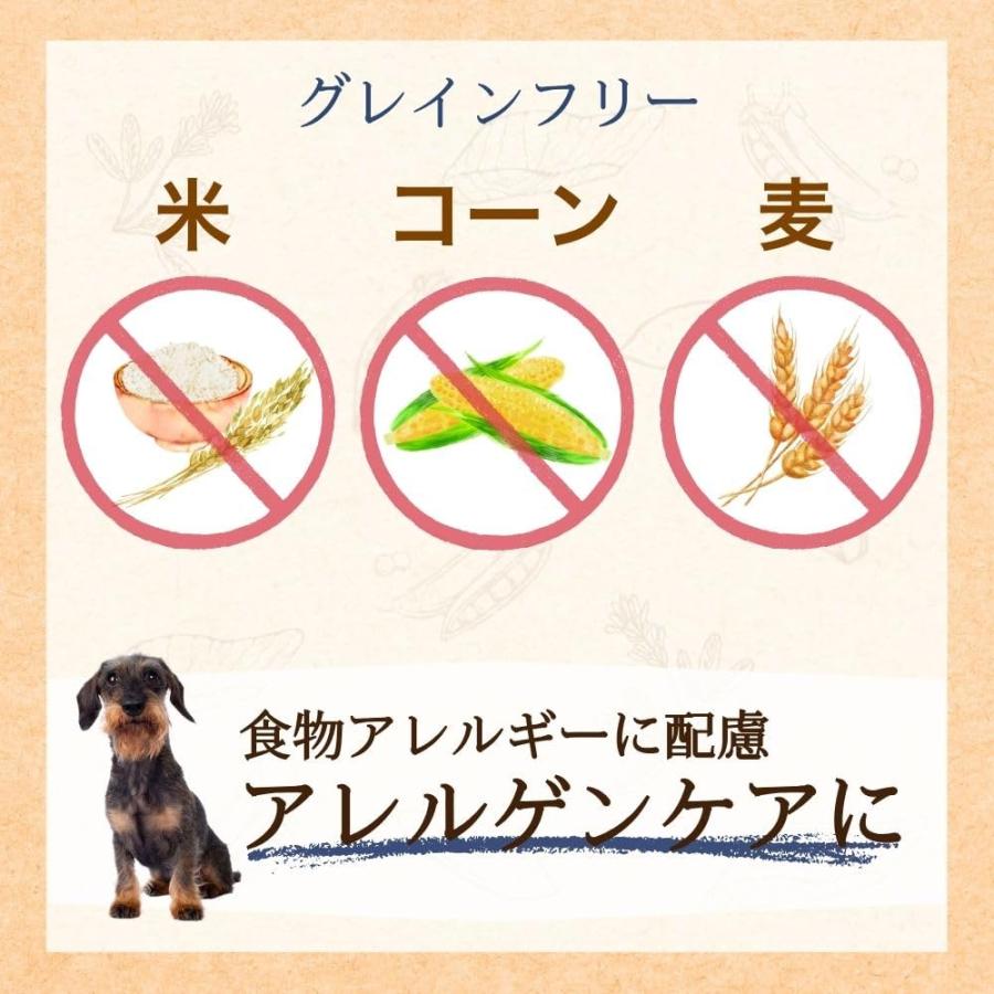 ファーストチョイス ChoiceS(チョイスエス) ドッグフード アレルゲン