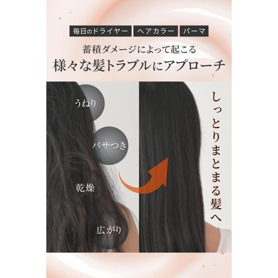 レチスパ] クリームシャンプー 泥シャンプー オールインワン 1本7役