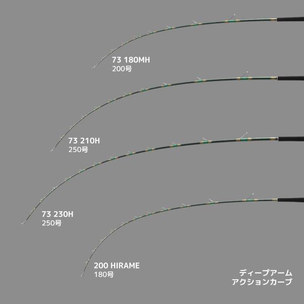 alpha tackle（アルファタックル） ディープアーム 200 HIRAME 2m