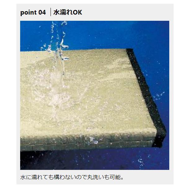 プロックス アウトドア畳 0.3畳厚手 PX36403 （ 2021年 新製品