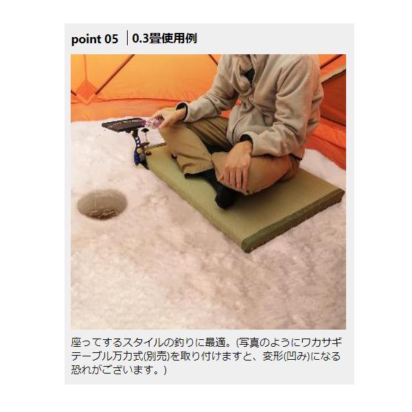 プロックス アウトドア畳 0.3畳厚手 PX36403 （ 2021年 新製品