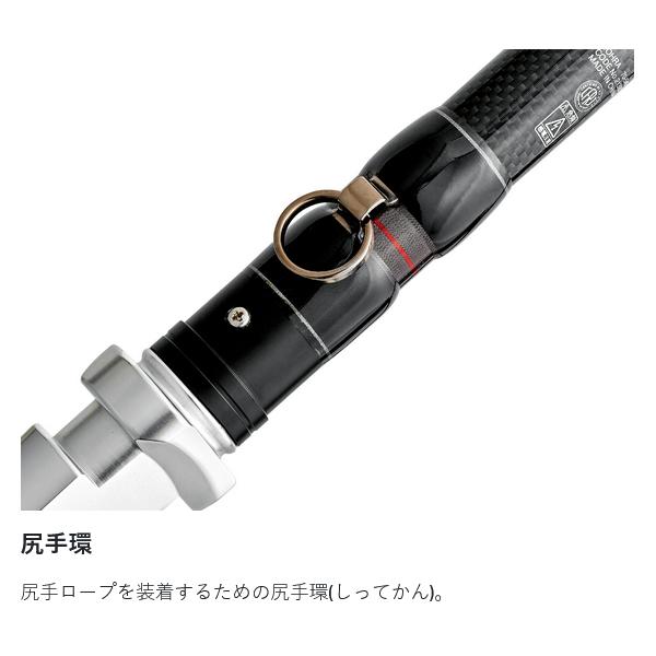 Gamakatsu（がまかつ） がまくえ ドーラ 50-460 4.6m ( 2025年 9月新
