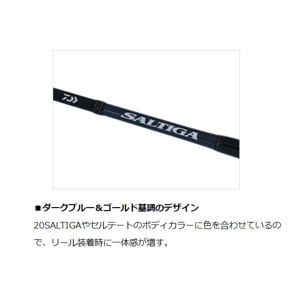 ダイワ ソルティガ R J63B-2.5 LO (ロッド・釣竿) 価格比較 - 価格.com  