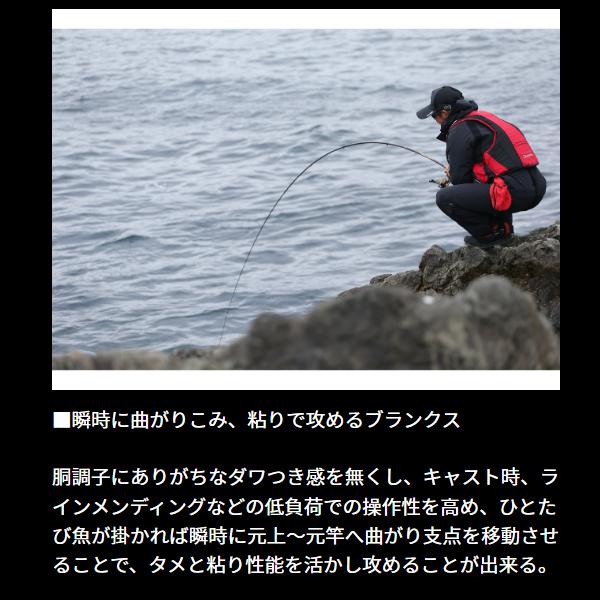DAIWA(釣り) ダイワ モンスタートルク 口太MH-50 5m 磯竿 DAIWA(釣り) ダイワ モンスタートルク 口太MH-50 5m 磯竿