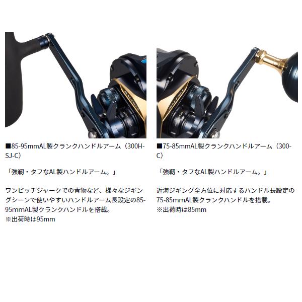 DAIWA（ダイワ） 25 ソルティガ 100-C (2026年 2月新製品) : 釣具